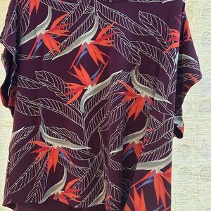 Fighting Eel Bird of Paradise Burgundy and White Top